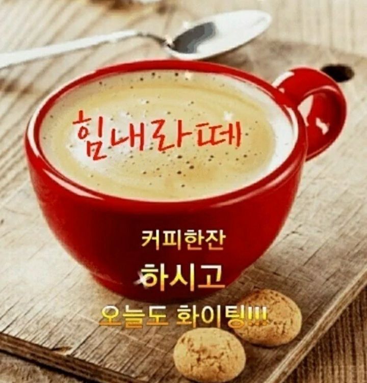 (주)예쁜오늘 이미지