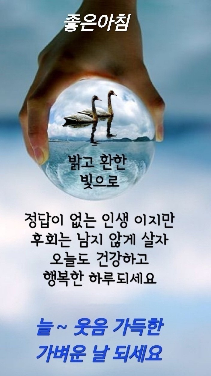 들무새 이미지