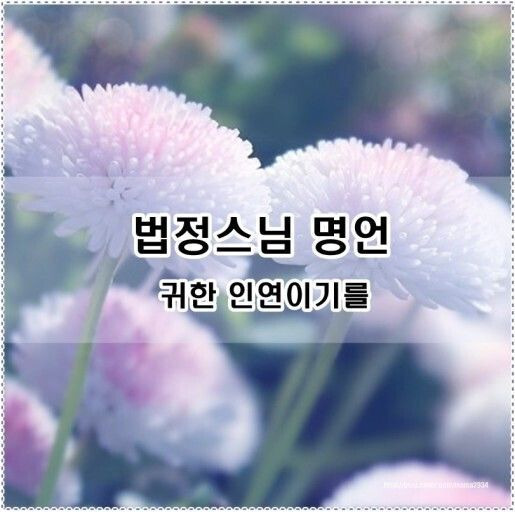 인연 이미지