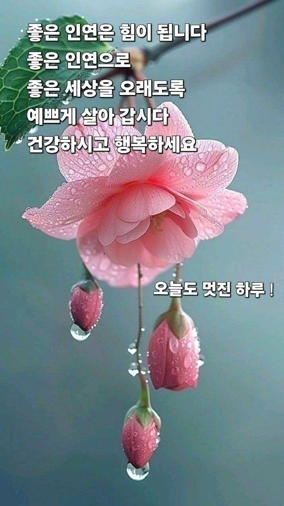 인연 이미지