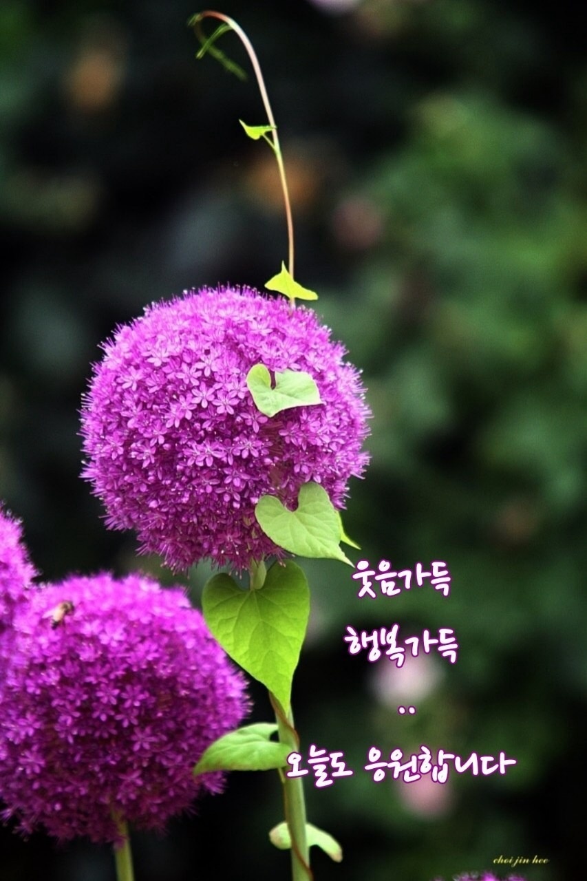 토하주 이미지