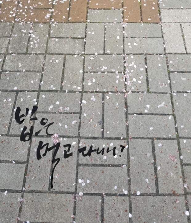 서울칼국수 이미지