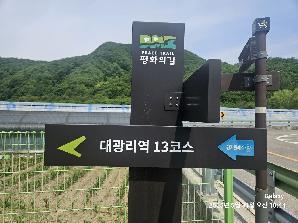 DMZ 평화의 길 14코스 반려동물 동반 애견카페