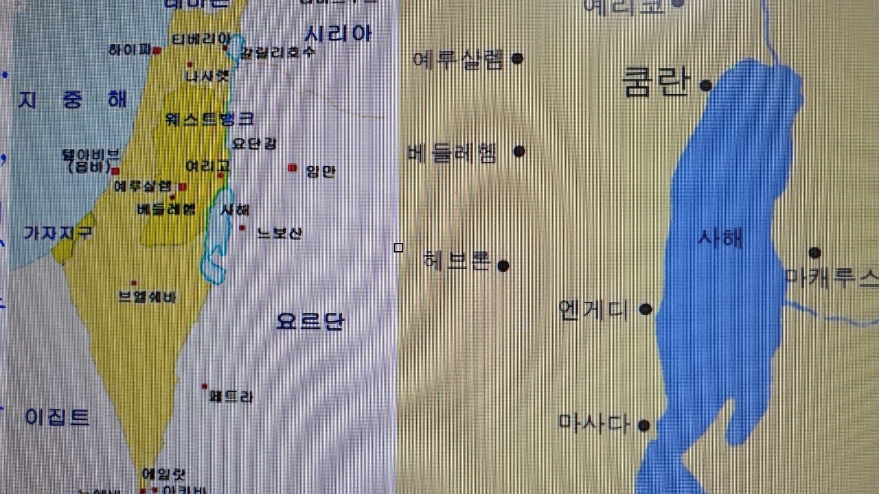 해면 이미지