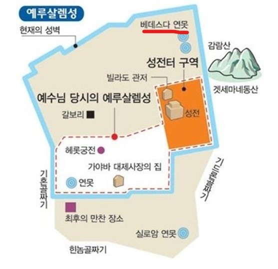 베데스다의원 이미지