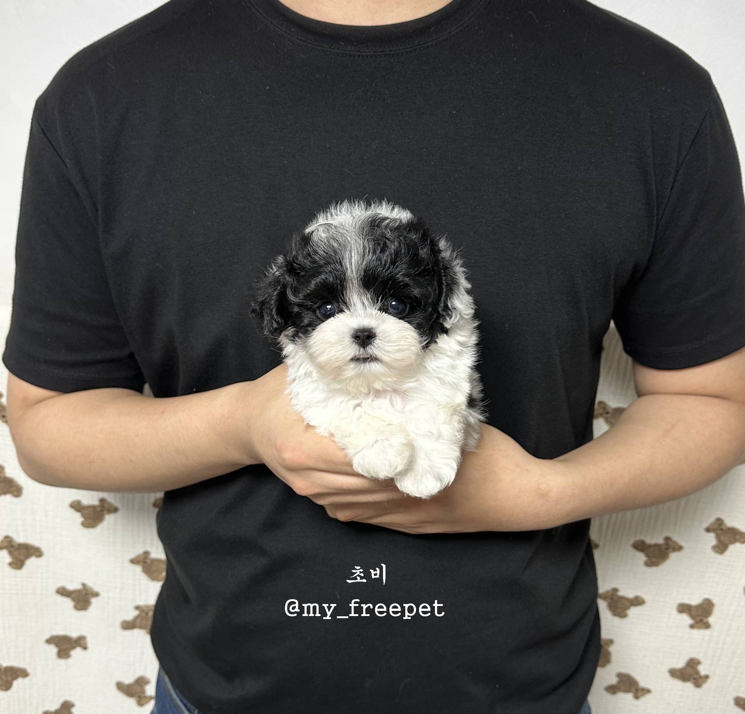 블랙파티 이미지