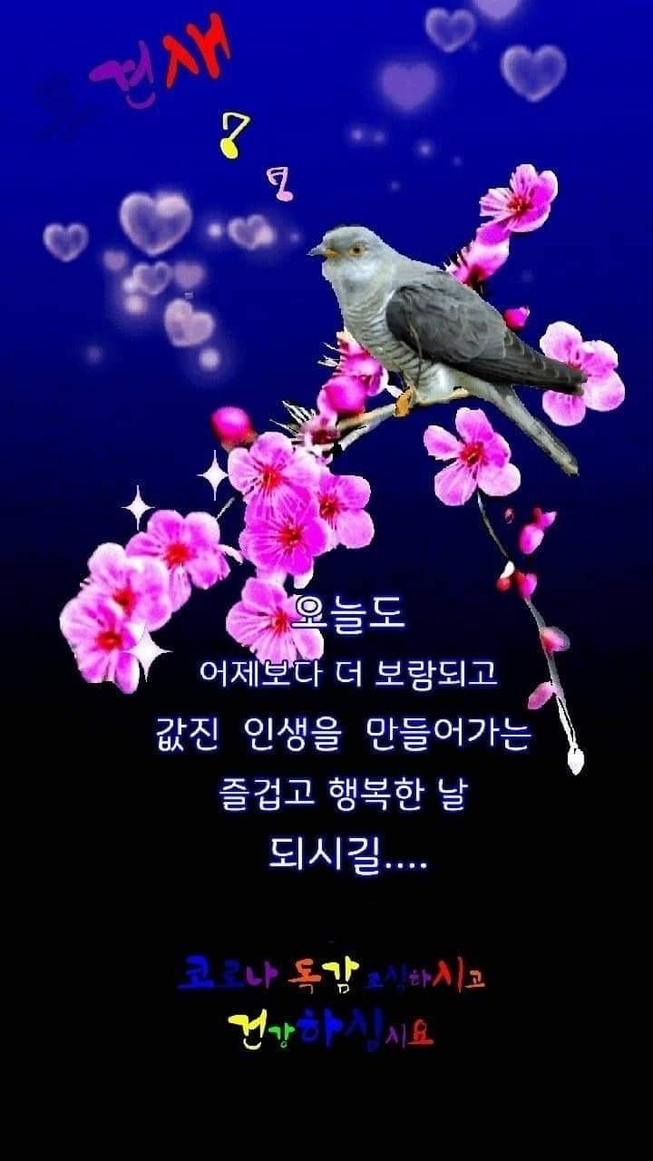 그날에 이미지