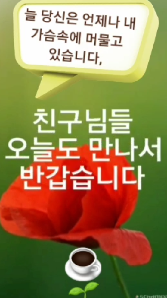 정감이 이미지