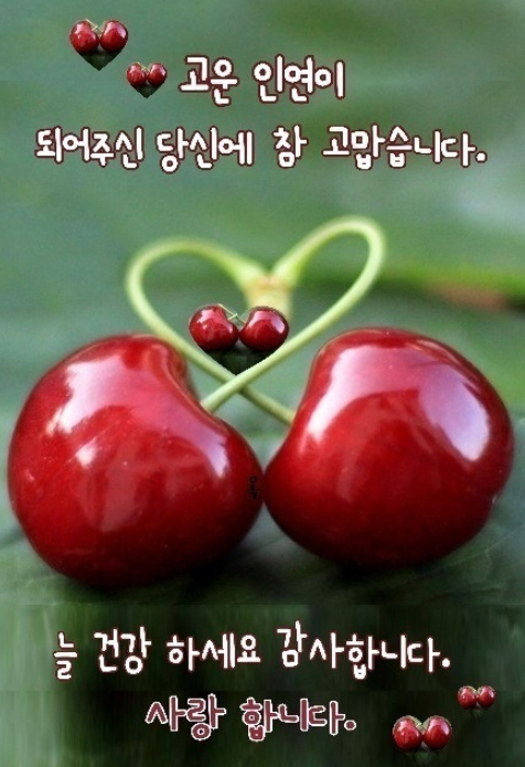 정감이 이미지