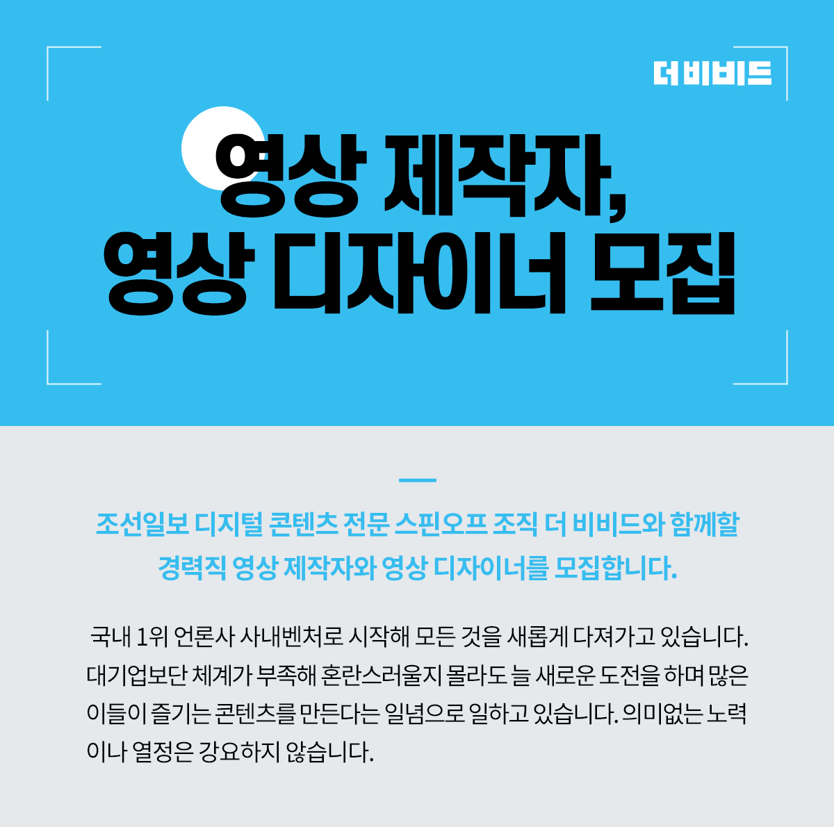 더비비드 이미지