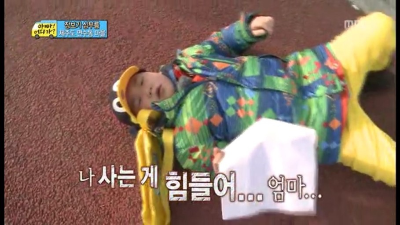 페이버 이미지