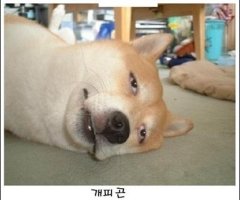 페이버 이미지