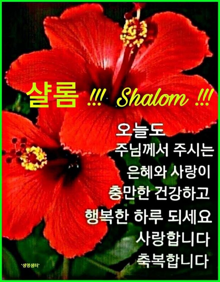 샬롬 이미지