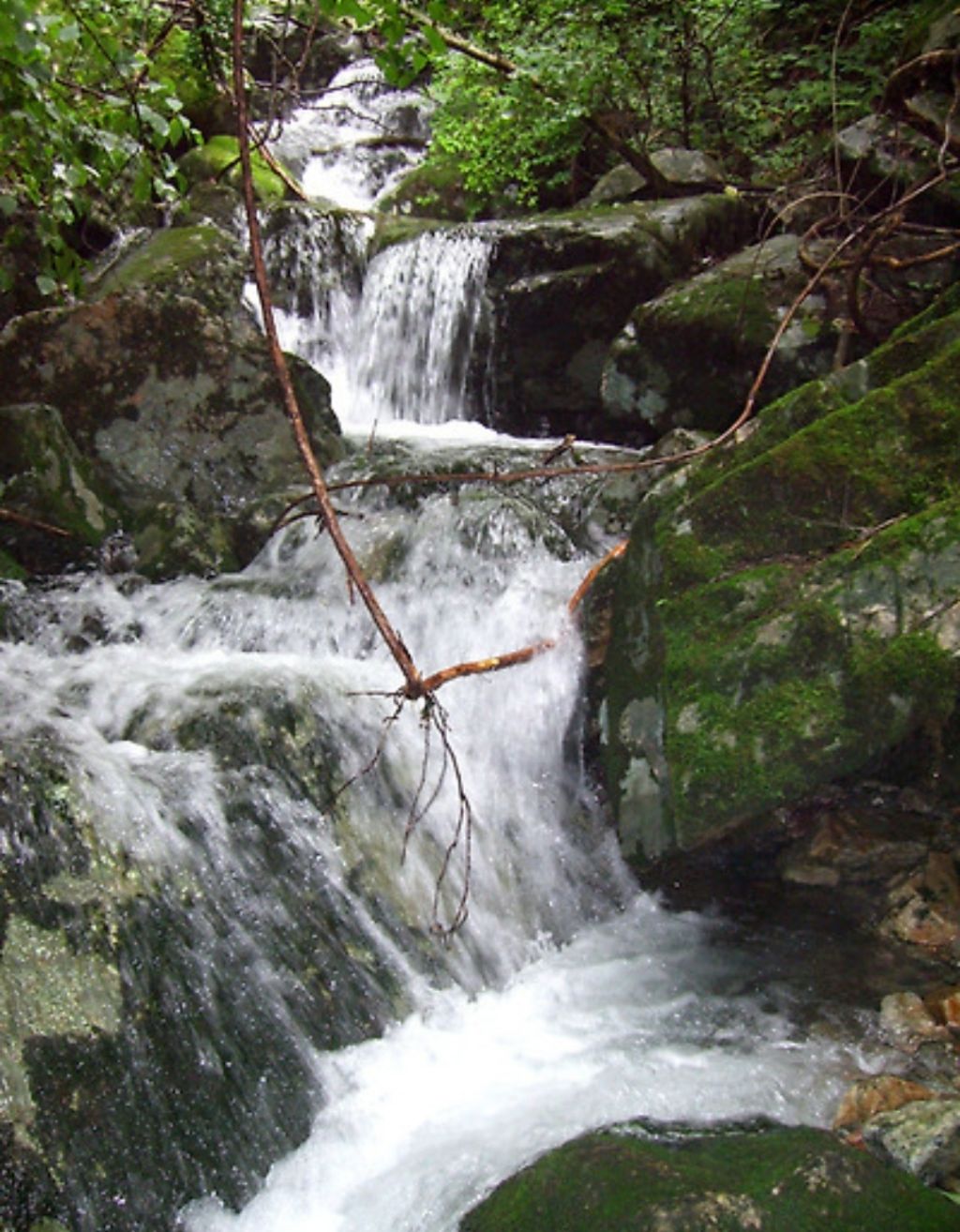산좋고물좋고 이미지
