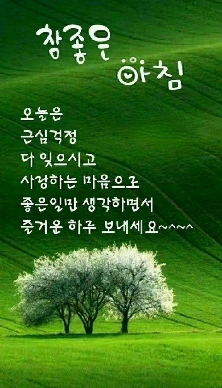 영희네 이미지