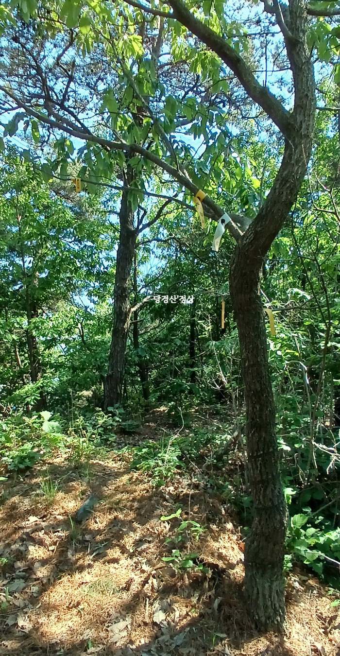 화락산 이미지