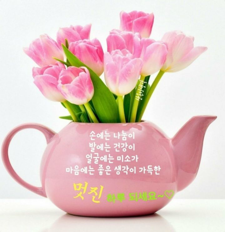 사랑으로 이미지