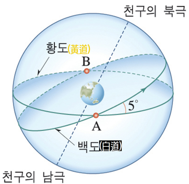 Daum 카페