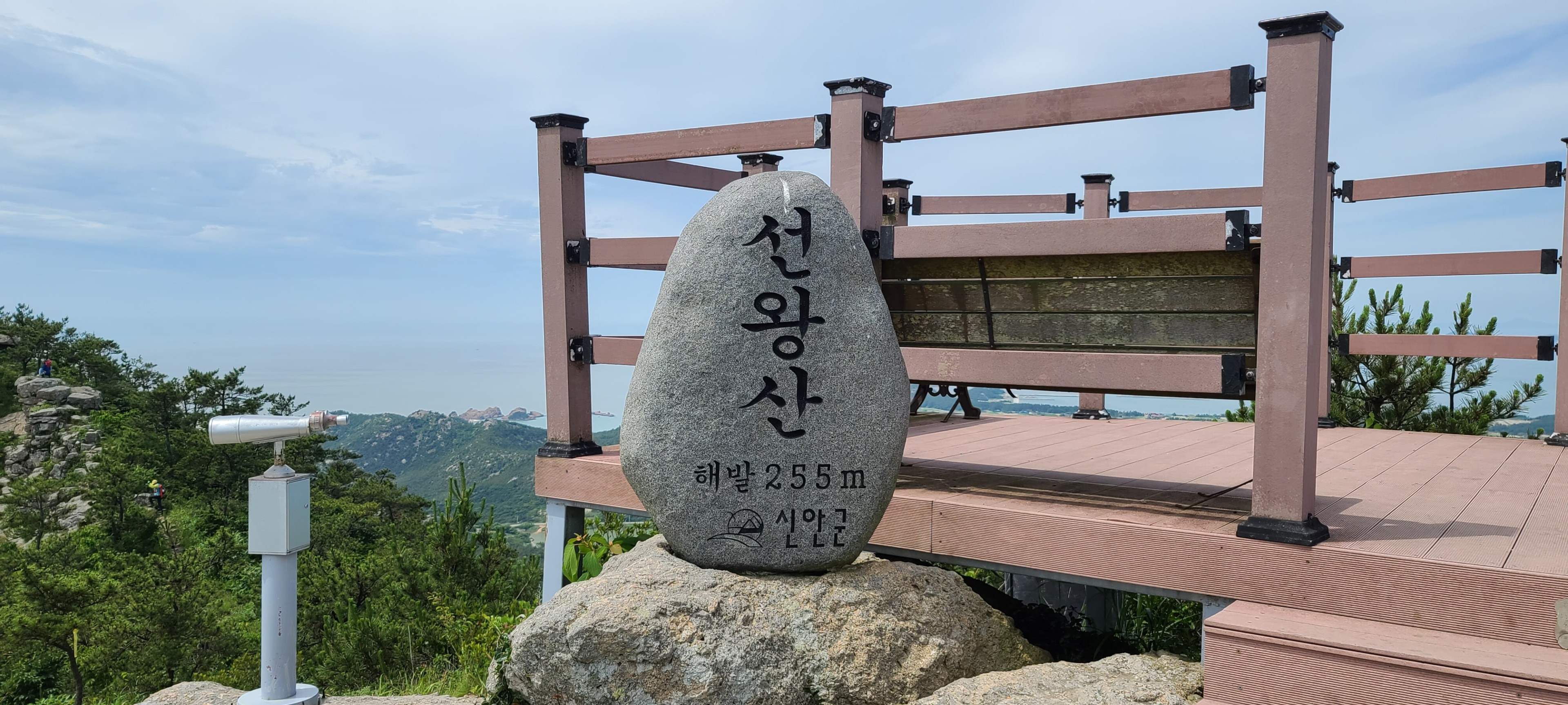 Daum 카페