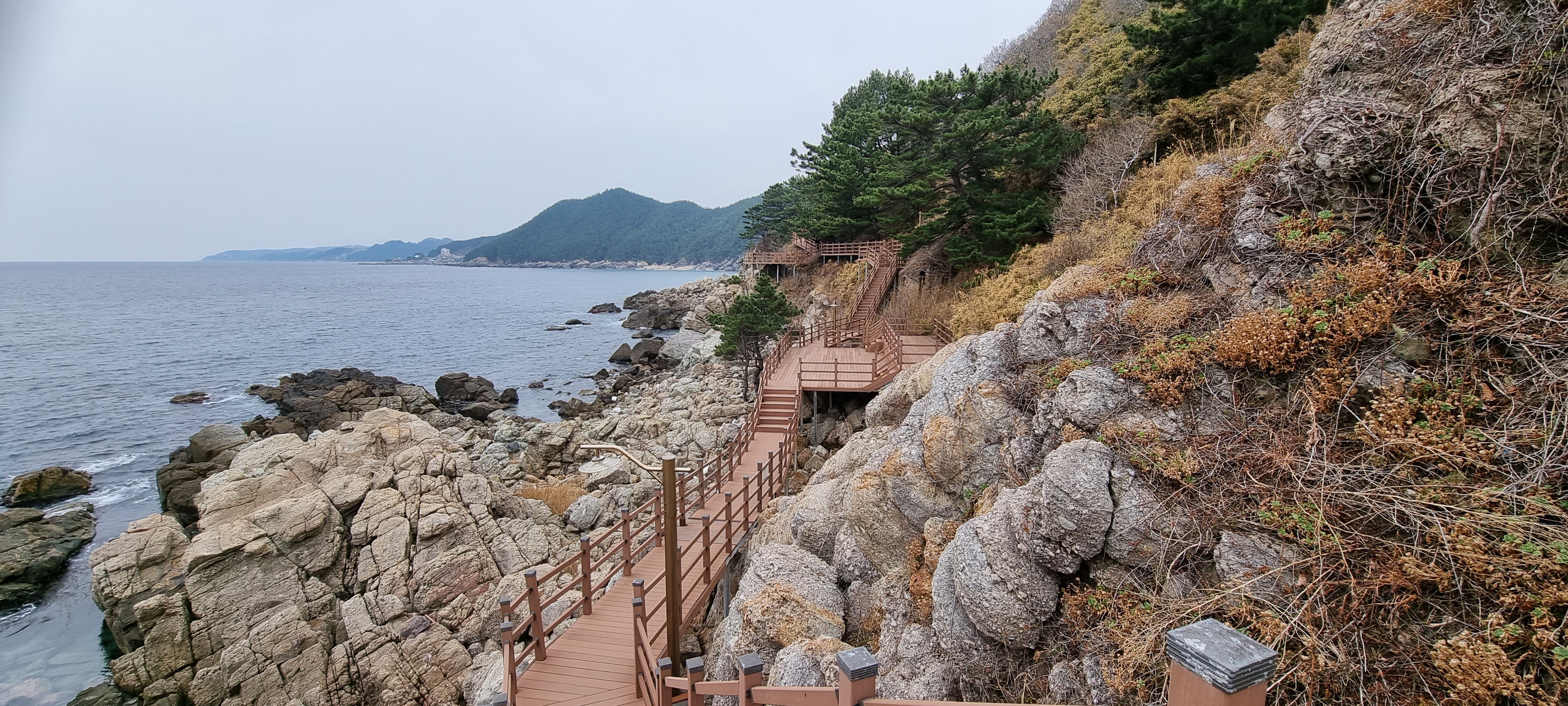경북축산 이미지