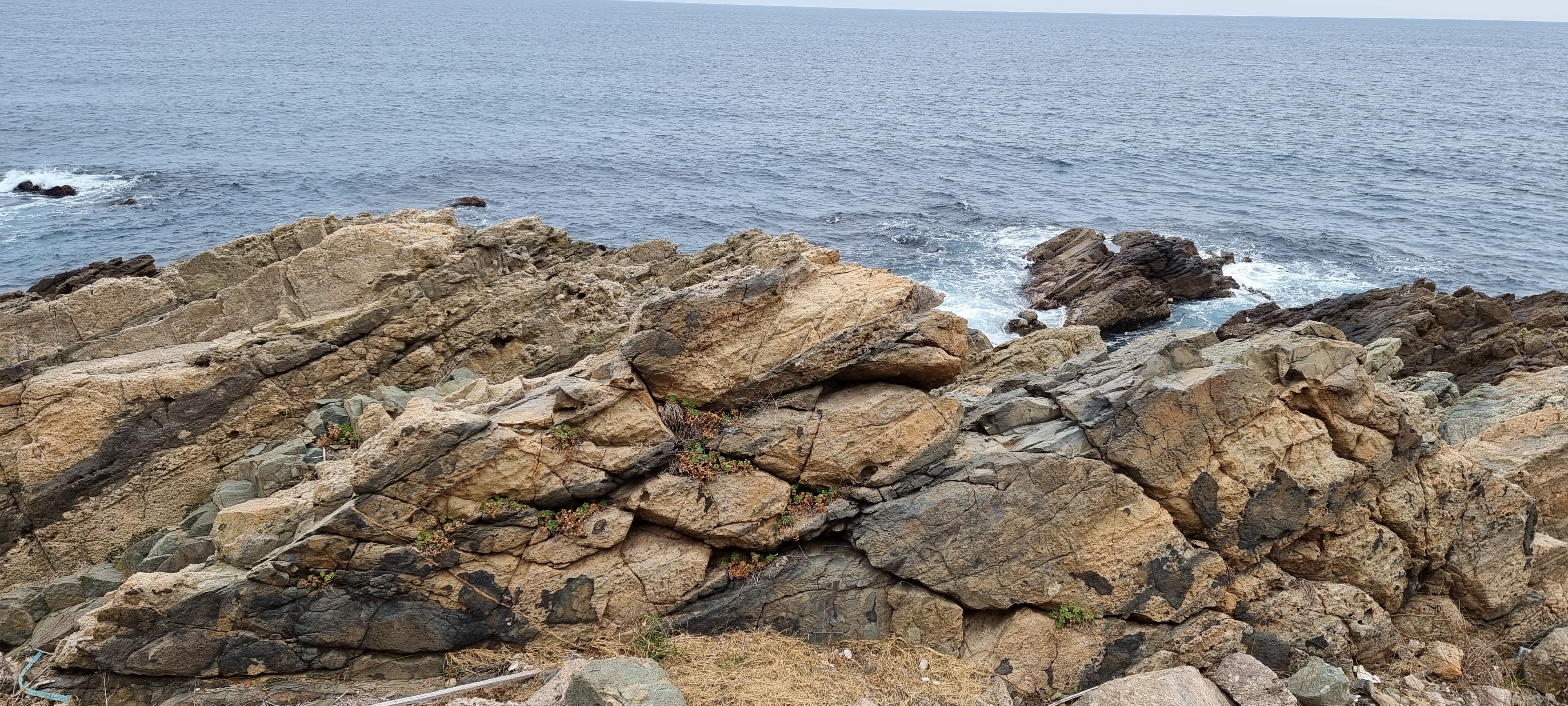 경북축산 이미지