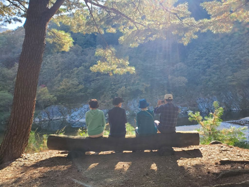 소풍 이미지