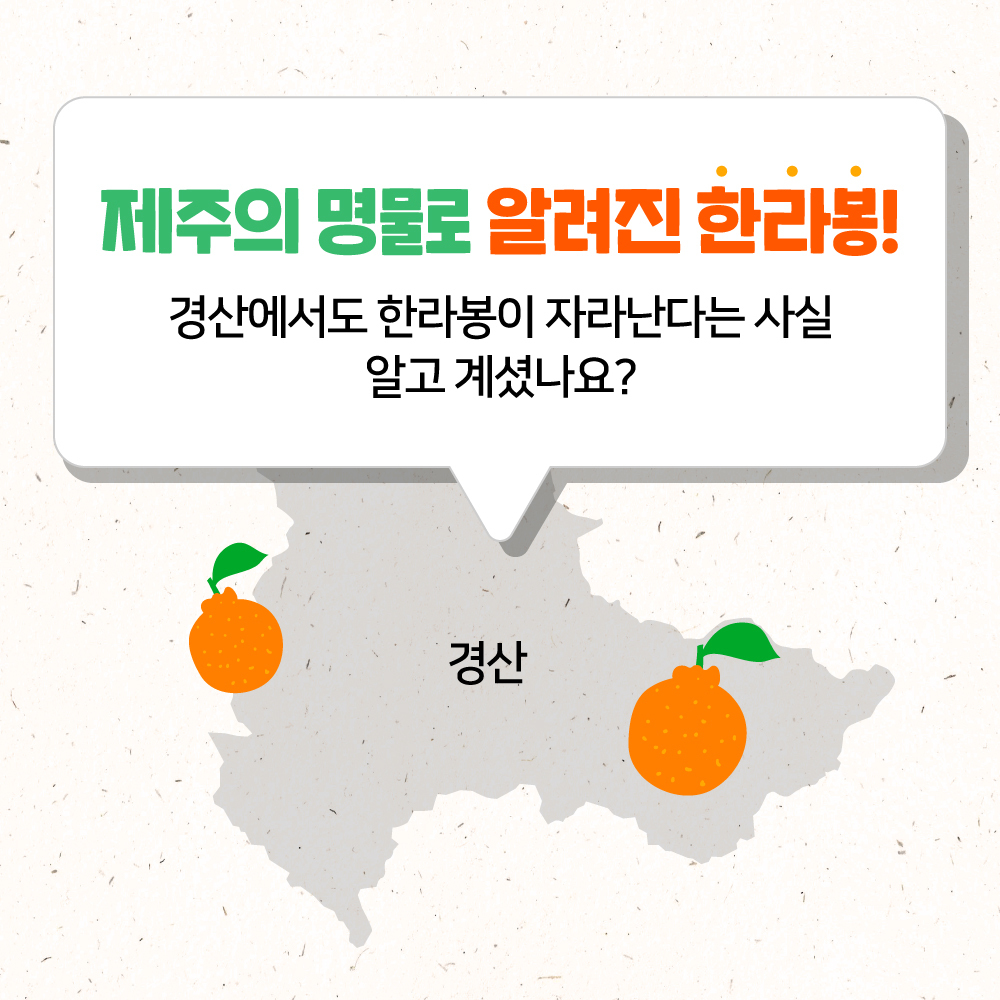 대구장터 이미지