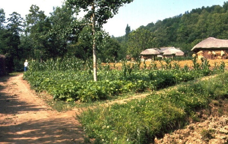 서울칼라 이미지