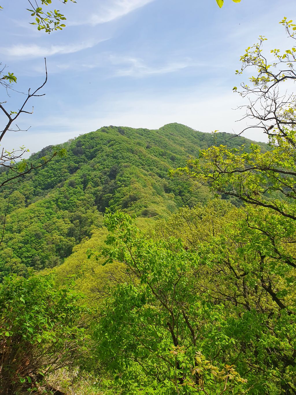 띵가 이미지