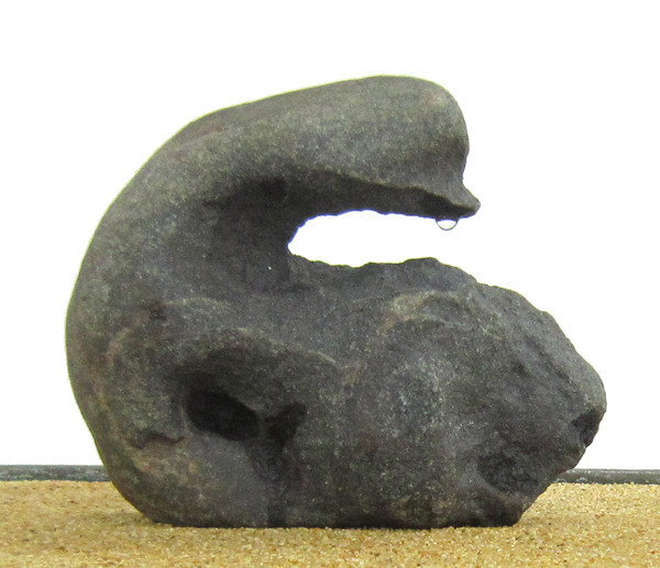 수석오리 이미지