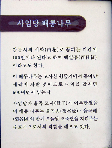 서제 이미지