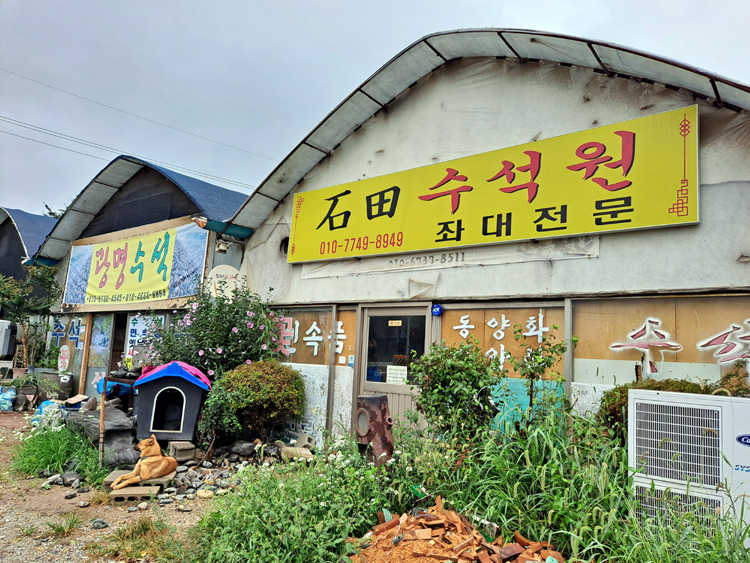 석전수석 이미지
