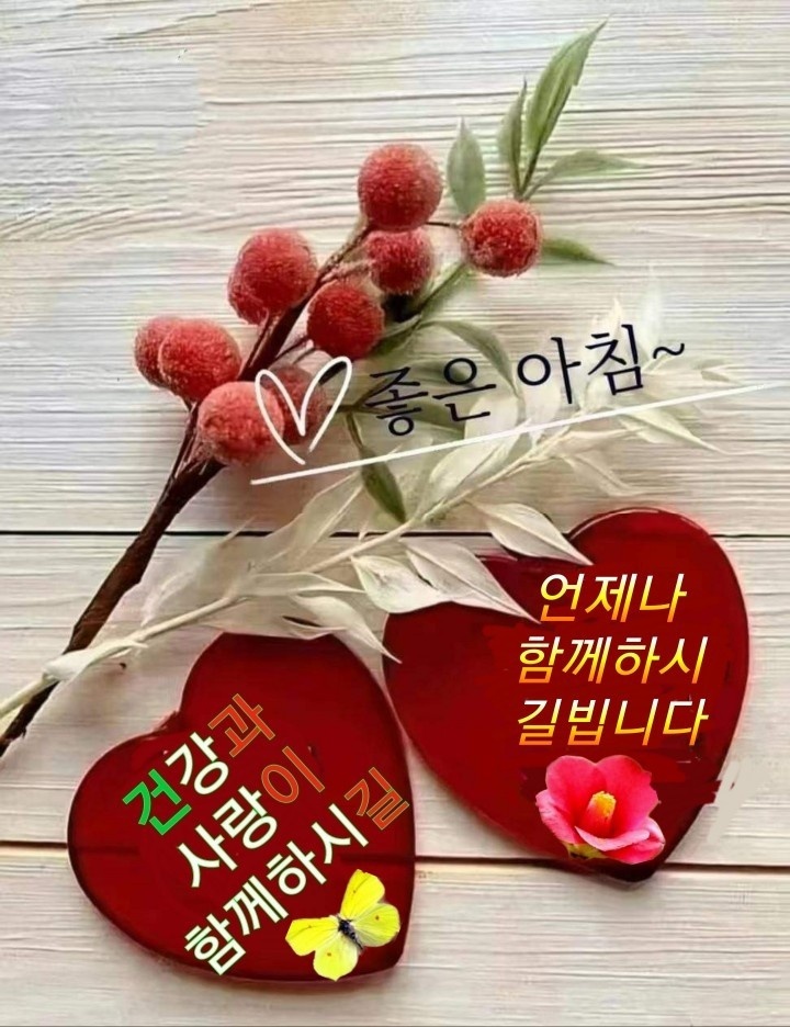 카사비앙카 이미지