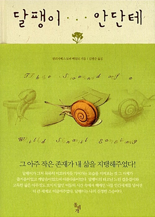 안단테 이미지