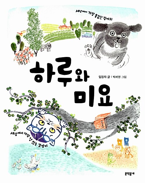 미요 이미지