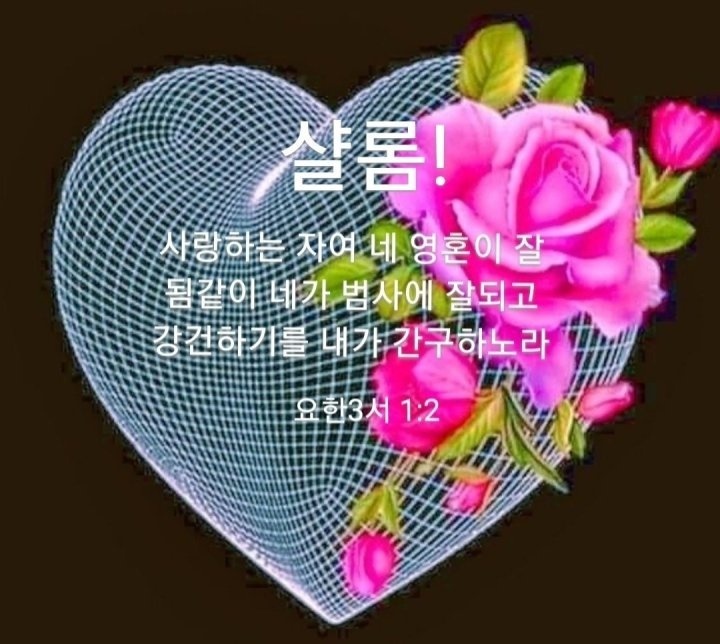 비바리 이미지