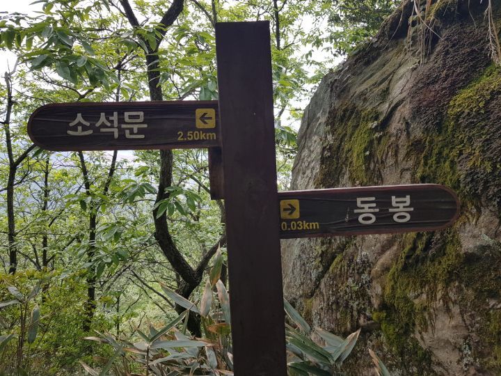 도암주유소 이미지