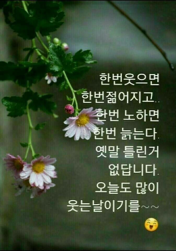 한*한 이미지