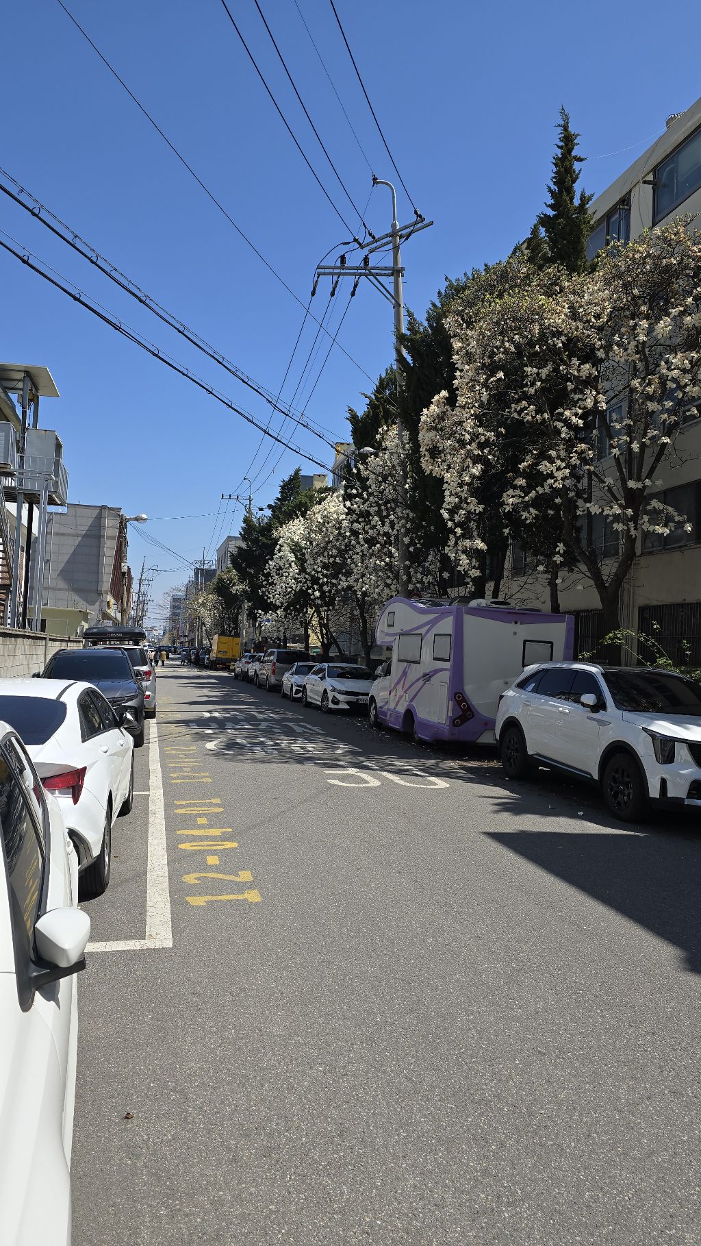 왕산1 이미지