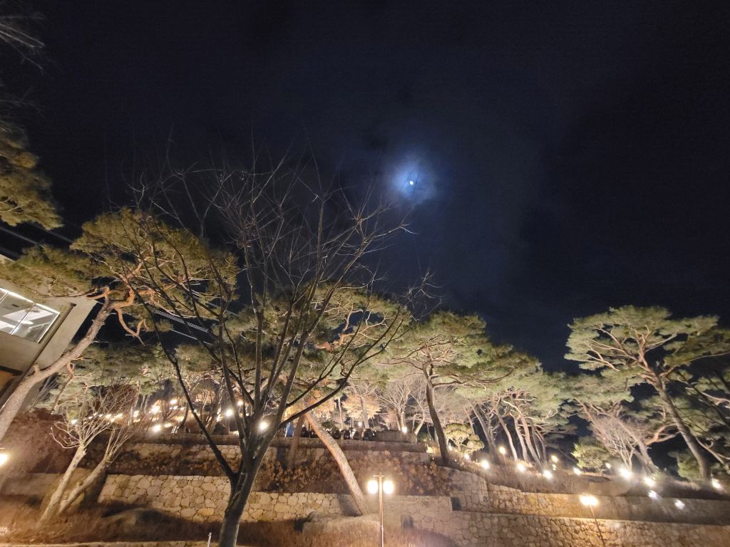 카페파노라마 이미지