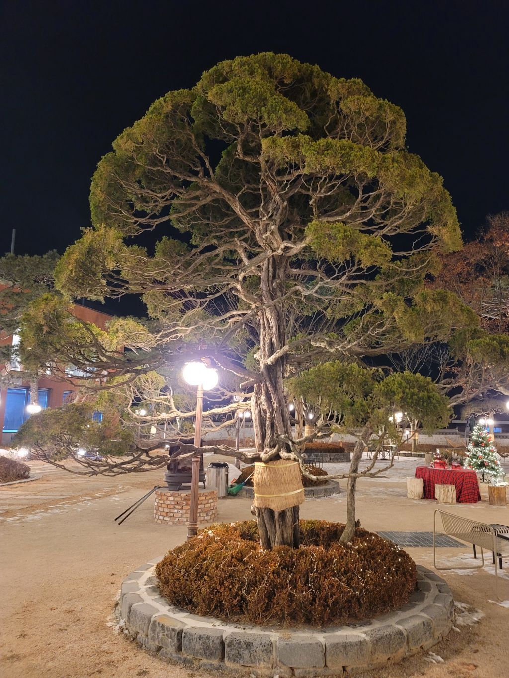 카페파노라마 이미지