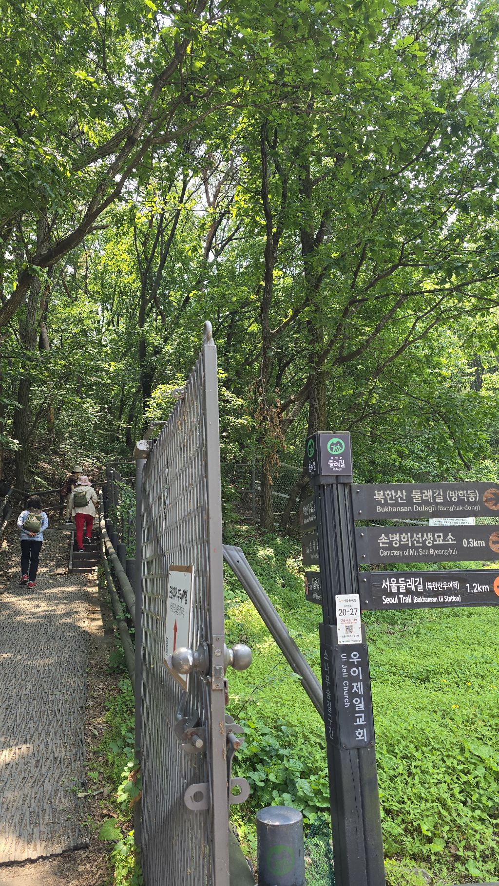 소나무 숲길 이미지