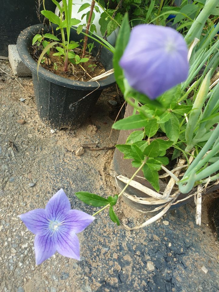 통발집 이미지