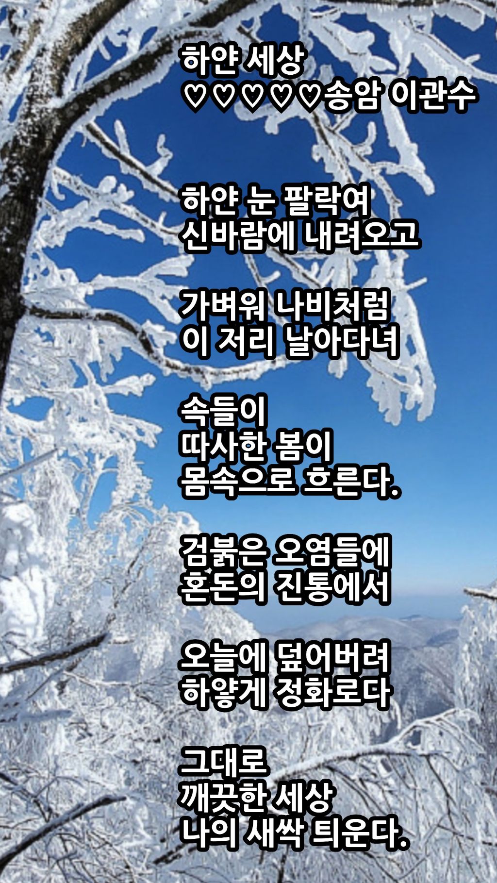하얀세상 이미지