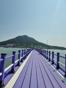 신서1 이미지