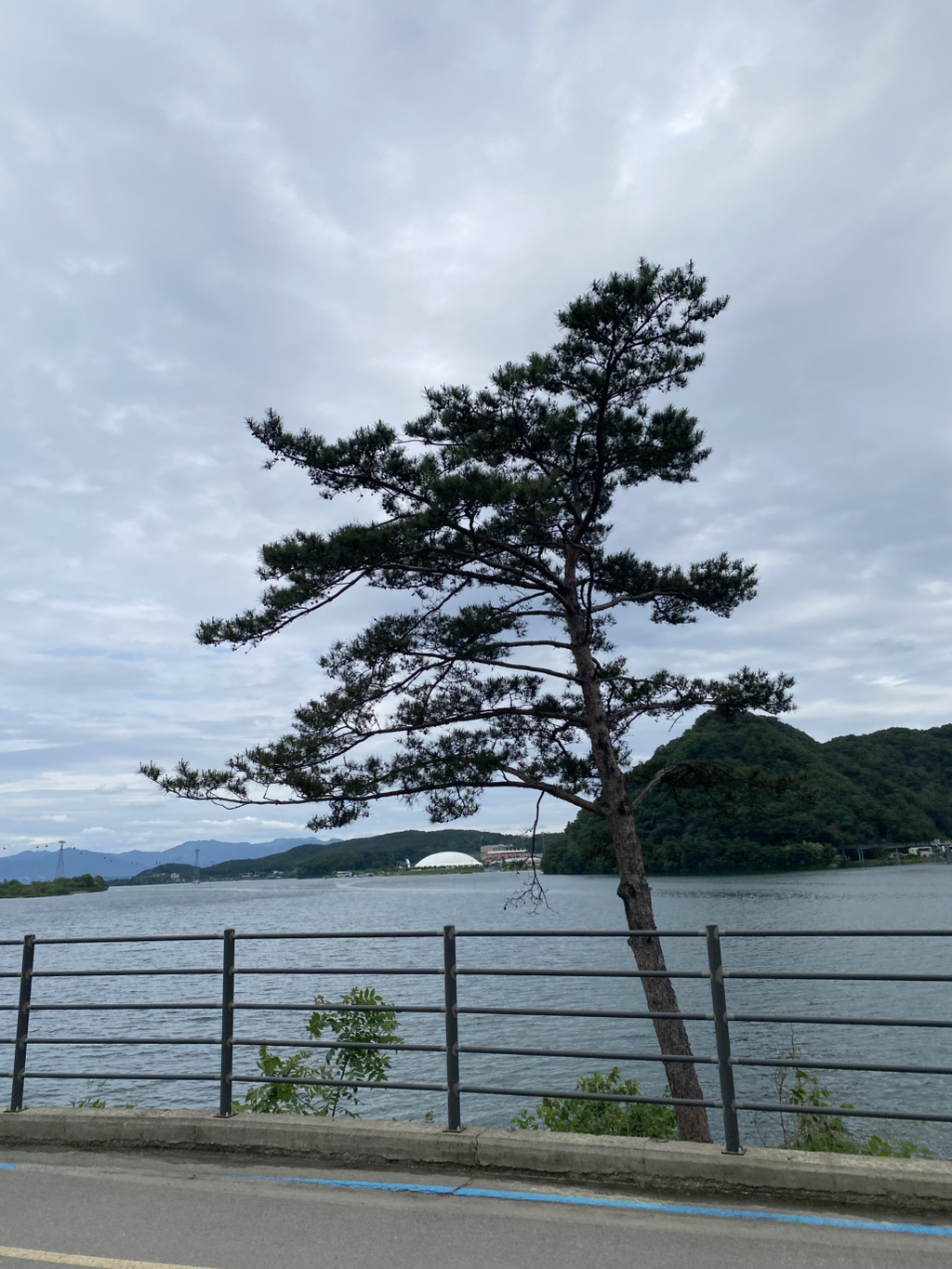 오월의숲 이미지