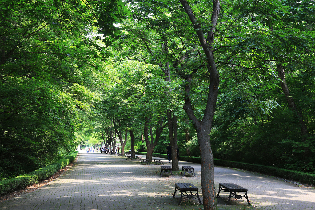 국립수목원 이미지
