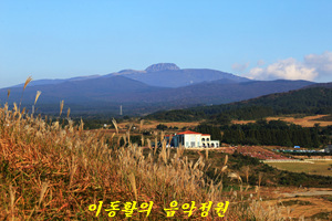 제주새별 이미지