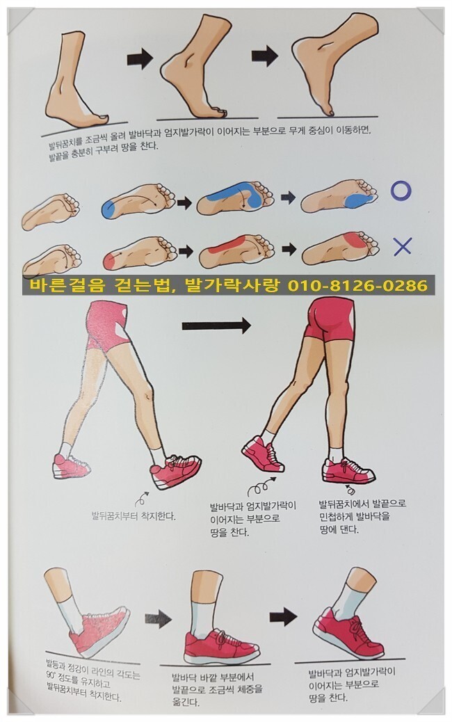 바른걸음-바른자세 이미지
