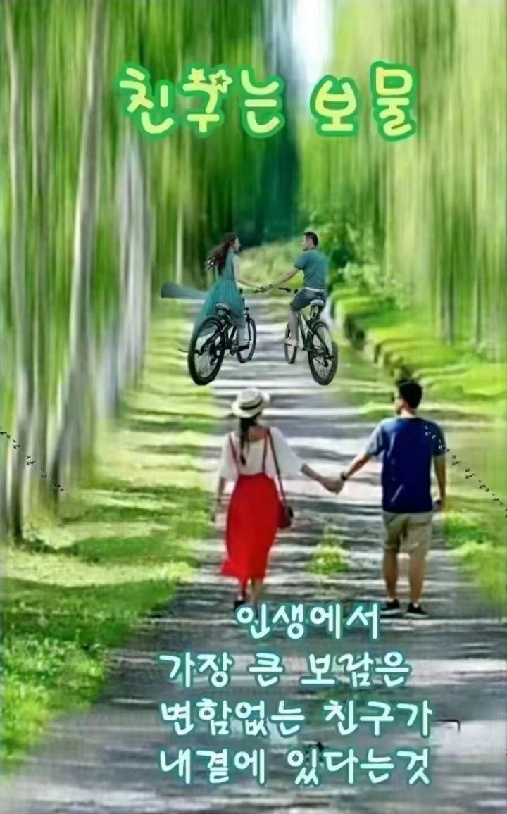 소떼들 이미지